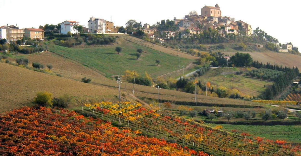 Gli Orti Di San Giacomo Bed and Breakfast Monteprandone Exterior foto